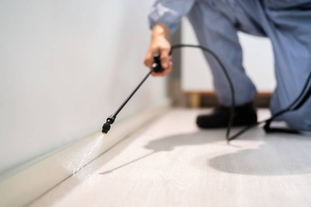 Licensed Rodent Control service in Union County County, AR - Nex Pest Control