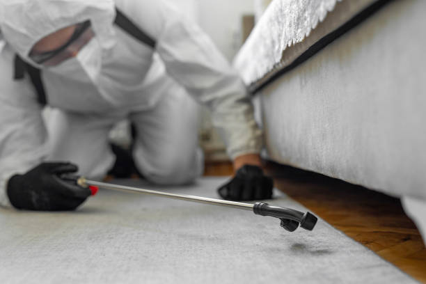 Professional Rodent Control technician working in Union County County, AR